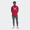 Pánské tepláky adidas LFC TR PNT - foto 3
