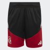Dětské šortky adidas DFB TR SHO - foto 0