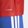 Pánský dres adidas ANFP H JSY AU - foto 7