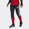 Pánské tepláky adidas DFB TR PNT - foto 1