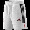 Pánské šortky adidas LY HOT WV SH - foto 14