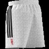 Pánské šortky adidas LY HOT WV SH - foto 12