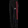 Pánské tepláky adidas TIRO26L PNTR - foto 14