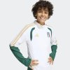 Dětská mikina adidas FIGC TR TOPY - foto 5