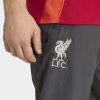 Pánské tepláky adidas LFC PRE PNT - foto 5