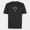 Pánské tričko adidas LFC GR TEE - foto 0