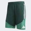 Pánské šortky adidas FAF TR SHO - foto 0