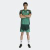 Pánské šortky adidas FAF TR SHO - foto 4