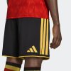 Pánské šortky adidas RBFA H SHO - foto 6