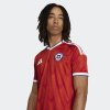 Pánský dres adidas ANFP H JSY - foto 6