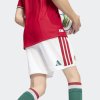 Pánské šortky adidas HFF H SHO AU - foto 6