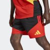 Pánské šortky adidas RBFA TR SHO - foto 6