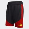 Pánské šortky adidas RBFA TR SHO - foto 0