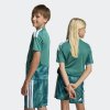 Dětský dres adidas DFB H GK JSY Y - foto 7