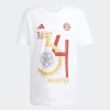 Pánské tričko adidas FCB C W TEE M - foto 0