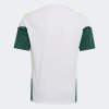 Dětský dres adidas FIGC TR JSYY - foto 1
