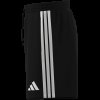 Pánské šortky adidas DFB DNA SHO - foto 12