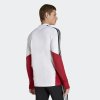 Pánská mikina adidas DFB TR TOP - foto 2