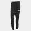 Pánské tepláky adidas DFB DNA PNT - foto 1