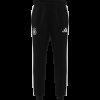Pánské tepláky adidas DFB DNA PNT - foto 7