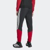 Pánské tepláky adidas DFB PRE PNT - foto 2
