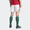 Pánské šortky adidas HFF H SHO - foto 2