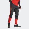 Pánské tepláky adidas RBFA TR PNT - foto 1