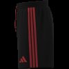 Pánské šortky adidas RBFA DNA SHO - foto 13