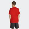 Pánské tričko adidas RBFA DNA GR TEE - foto 2