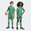 Dětské šortky adidas TIRO26 C M SHOY - foto 7