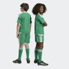 Dětské šortky adidas TIRO26 C M SHOY - foto 6