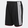 Pánské šortky adidas DFB H SHO - foto 0