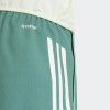 Dámské šortky adidas TIRO25C DT SHOW - foto 5