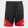 Pánské šortky adidas JFF  TR SHO - foto 0