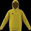Dětská mikina adidas ENT26 HOODY Y - foto 8