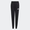 Dětské tepláky adidas ENT26 SW PNTY - foto 0