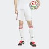 Pánské šortky adidas HFF A SHO - foto 1