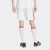 Pánské šortky adidas HFF A SHO - foto 2