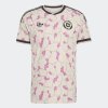 Pánský dres adidas ANFP A JSY AU - foto 0