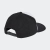 Kšiltovka adidas DFB SB CAP - foto 1