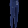 Pánské legíny adidas ADIZERO E L TGT - foto 5