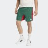 Pánské šortky adidas TECH SHORT Q2 - foto 1