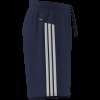 Pánské šortky adidas WE BAS 3SPQ S9i - foto 8