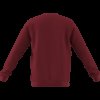 Chlapecká mikina adidas ENT22 SW TOPY - foto 10