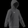 Chlapecká mikina adidas ENT22 HOODY Y - foto 7