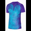 Pánské tričko Nike Dri-FIT Precision 6 - foto 0