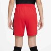 Chlapecké šortky Nike Dri-FIT Academy23 - foto 1