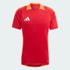Pánské tričko adidas TIRO24 C TR JSY - foto 0