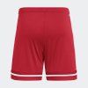Pánské šortky adidas SQUA25 SHO M - foto 2