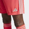 Pánské šortky adidas TIRO24 SHO - foto 7